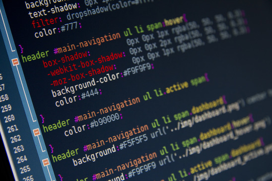 Website Design & Development